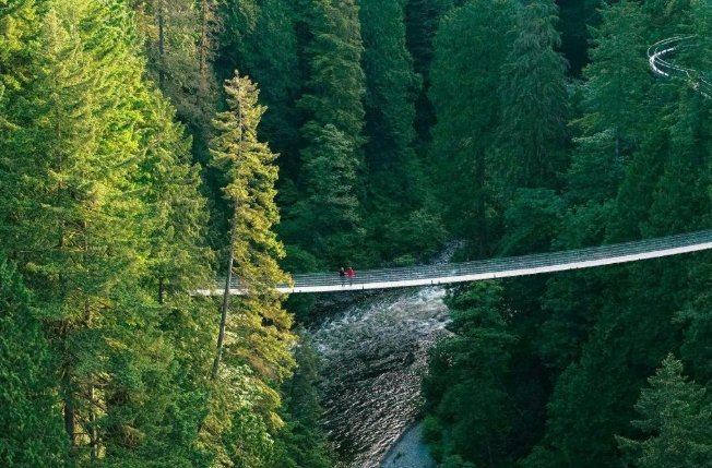 卡皮拉諾吊橋公園全攻略：交通方式、營業時間、門票價格與景點特色介紹