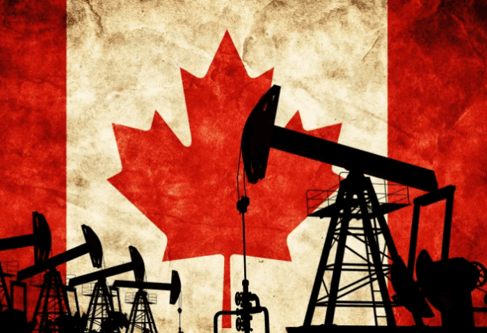 加拿大入境,加拿大入境限制物品,加拿大入境須知,加拿大入境流程