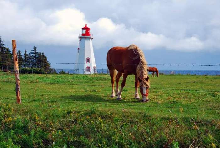 加拿大特色、景點、食物、文化