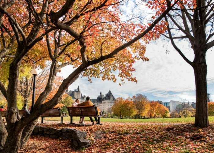 加拿大特產 全攻略：必買特產、保健食品推薦與冰酒生產規範