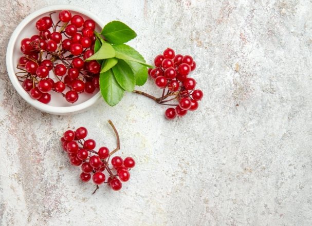 蔓越莓功效禁忌 蔓越莓功效禁忌