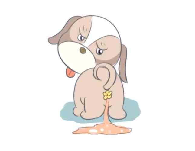 狗狗拉肚子的應對措施 狗狗拉肚子的應對措施
