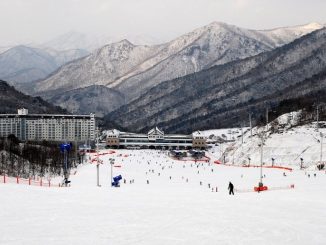 釜山滑雪